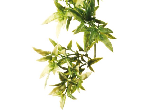 Obrázek Rostlina EXO TERRA Croton 45 cm 