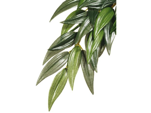 Obrázek Rostlina EXO TERRA Rucus 36 cm 