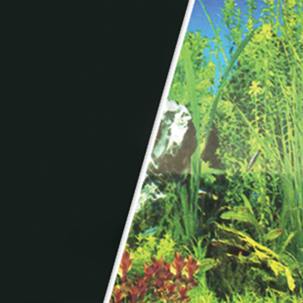 Picture of Pozadí MARINA tapeta oboustranné rostliny / černé 760 x 45 cm 7,6m