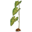 Obrázek Rostlina EXO TERRA Dripping Plant velká 